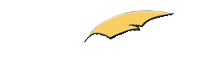 Donadio Financial Services